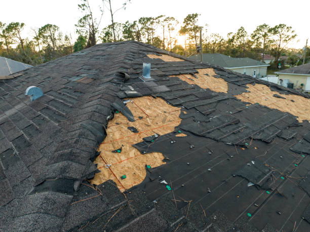 Best Roof Leak Repair  in Fruit Hill, OH