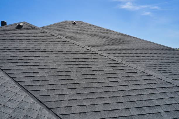 Best Roof Moss and Algae Removal  in Fruit Hill, OH